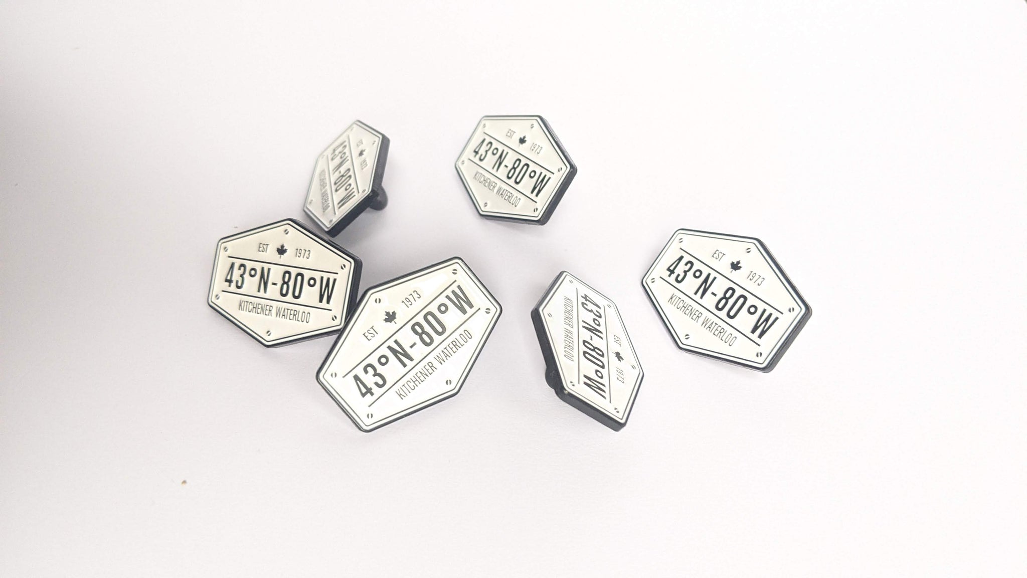 Logo Pin