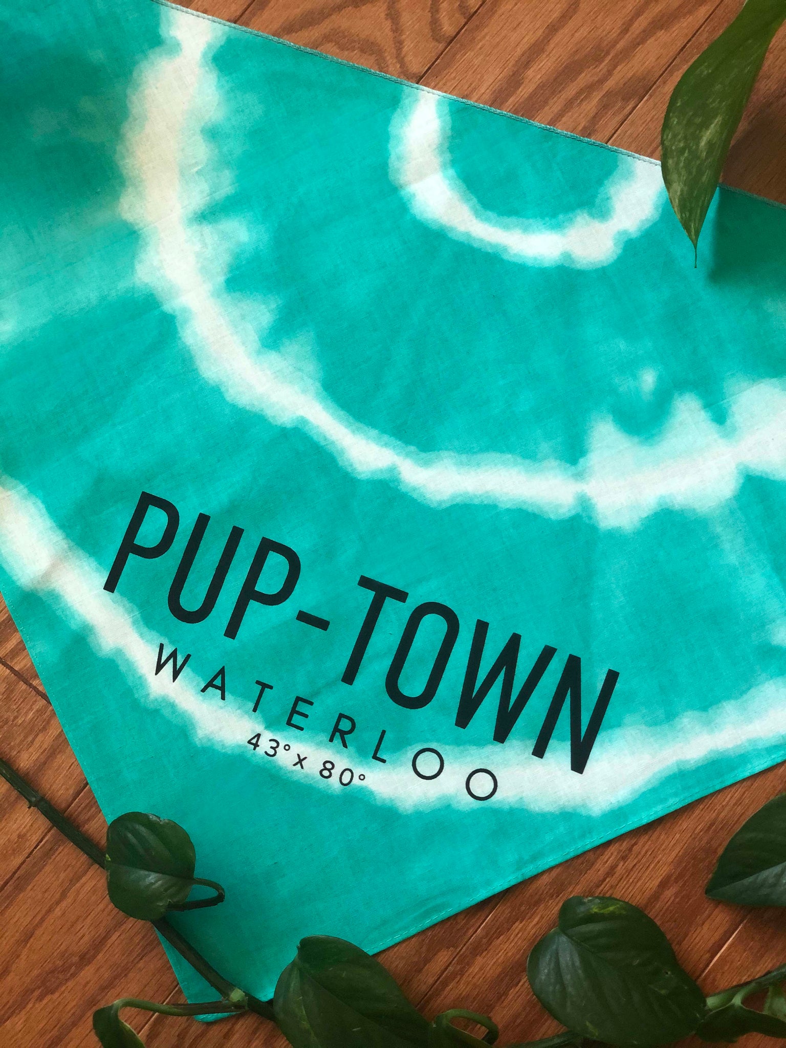 "Pup-town" Dog Bandana